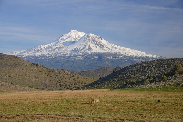 Inn At Mount Shasta image 18